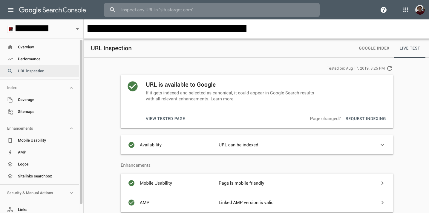 Gambar URL AMP yang berhasil lulus live test di Search Console.