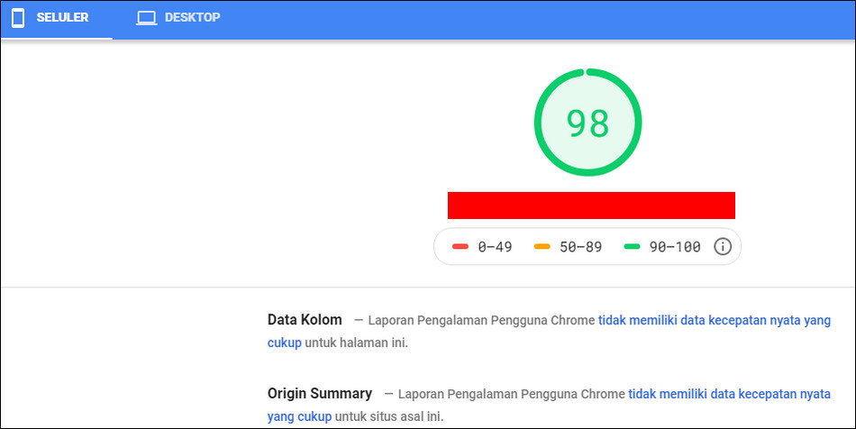 Hasil pengetesan dengan Google PageSpeeds Insight selular